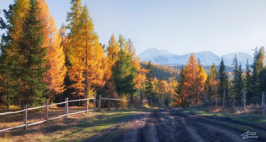 Автобус| Приэльбрусье