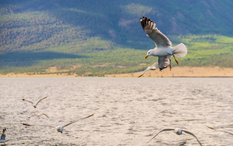 Загадка Ольхона: сердце Байкала