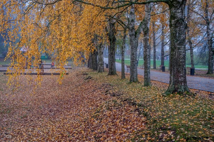 Семейные выходные. Погружение в средневековье