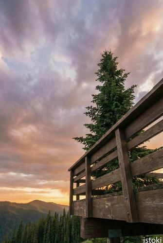 Тропами Алтая: от северных лесов к южным хребтам