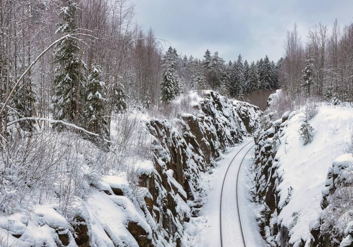Автобус| Веселые каникулы в Карелии: где даже северный ветер смеётся