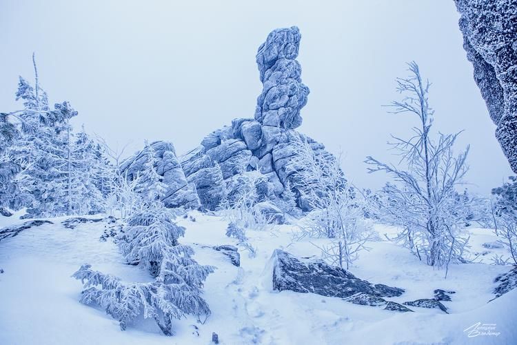 Тайны северной тундры