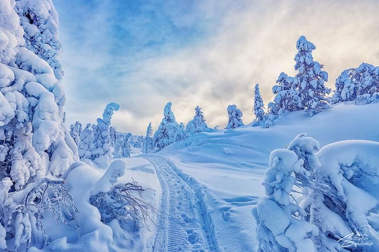 Новогодние праздники в Лермонтовских местах и Саранске (промо)