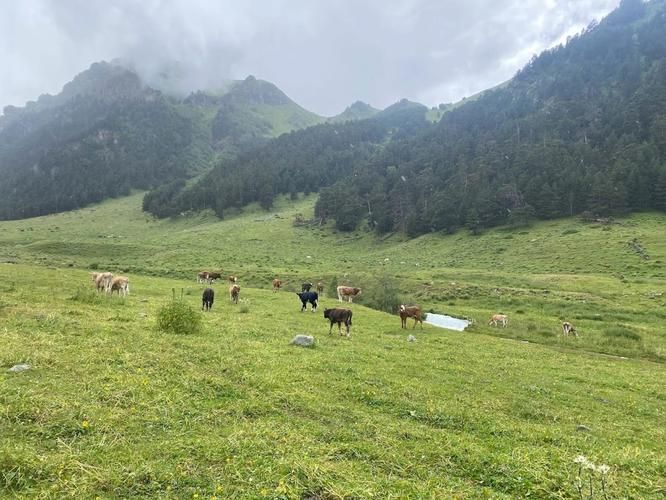 Где небо ложится на скалы, а ветер знает имена всех, кто шёл перед нами
