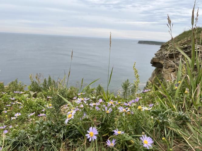 Кронштадт на краю света