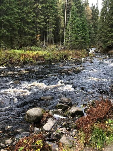 Гран-тур Вся Карелия + Водопады 