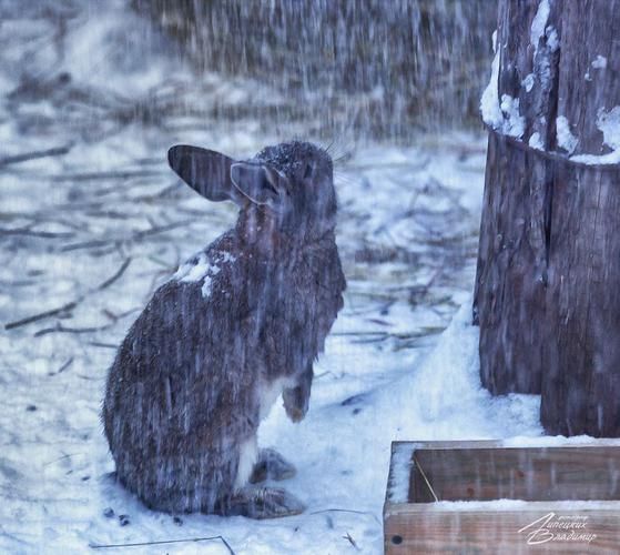Там, где уют — не интерьер, а состояние души
