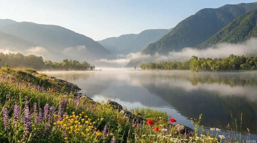 Крылья Алтая: экспресс‑тур