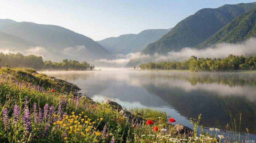 Тропами Алтая: от северных лесов к южным хребтам