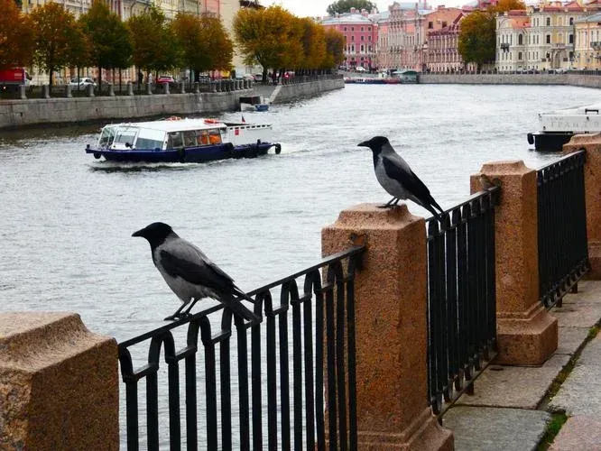 Две столицы: Петербург - Москва (промо)