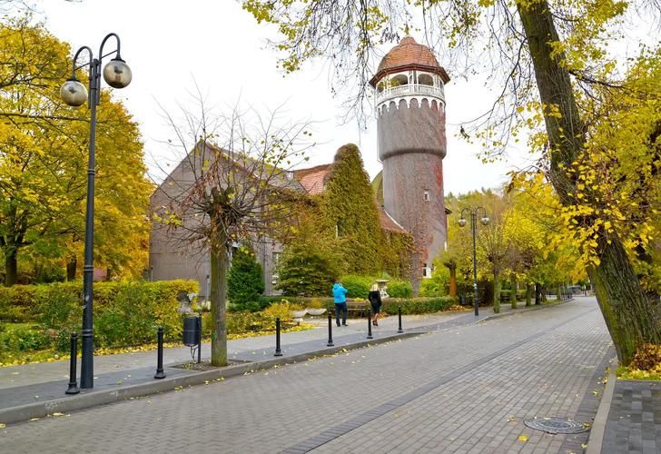 Тайны янтарного края 7  дней