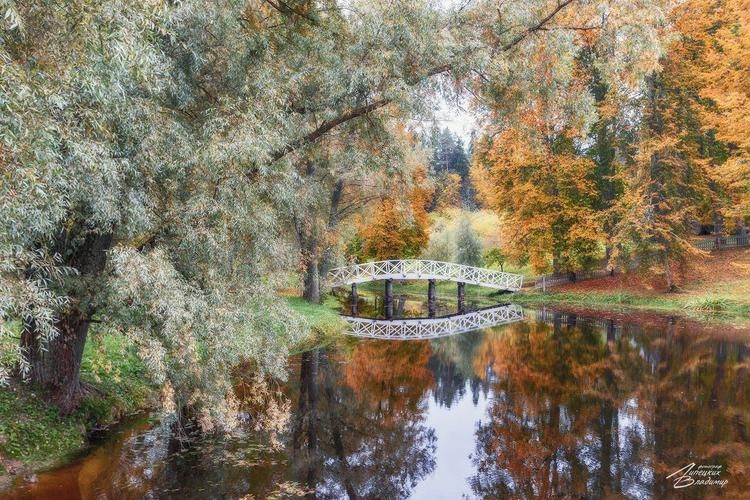 Автобус| В сердце Липецка: хлеб и соль — символ единства