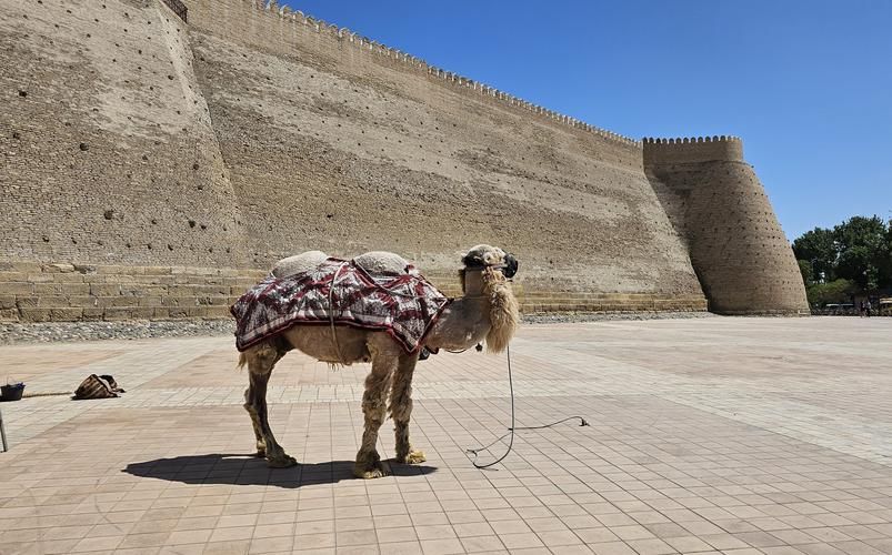 Жемчужины на шелковом пути