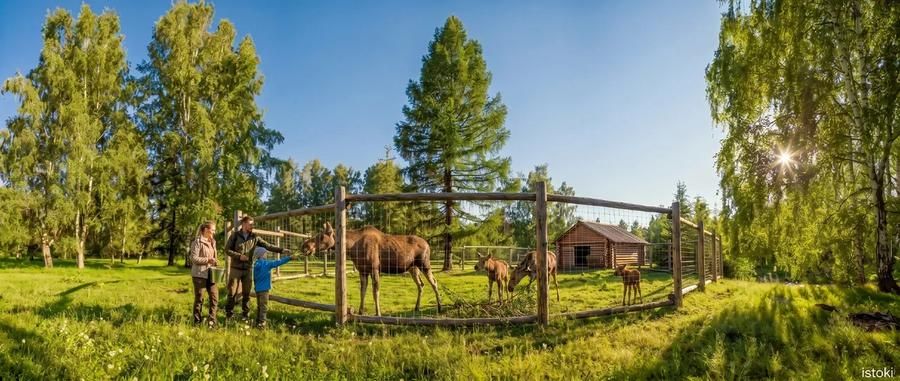Огненная земля Камчатки: от вулканов до традиций