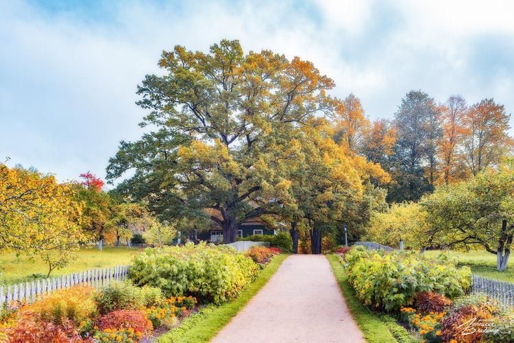 Автобус| Тихие берега Псковской земли