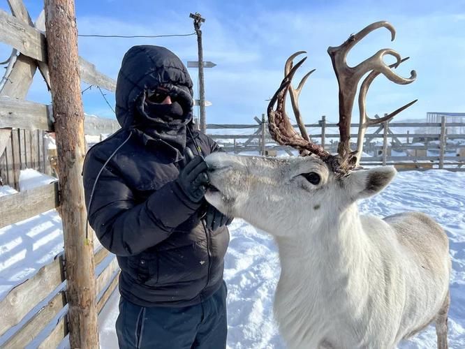 Арктика, как сон в ярких тонах