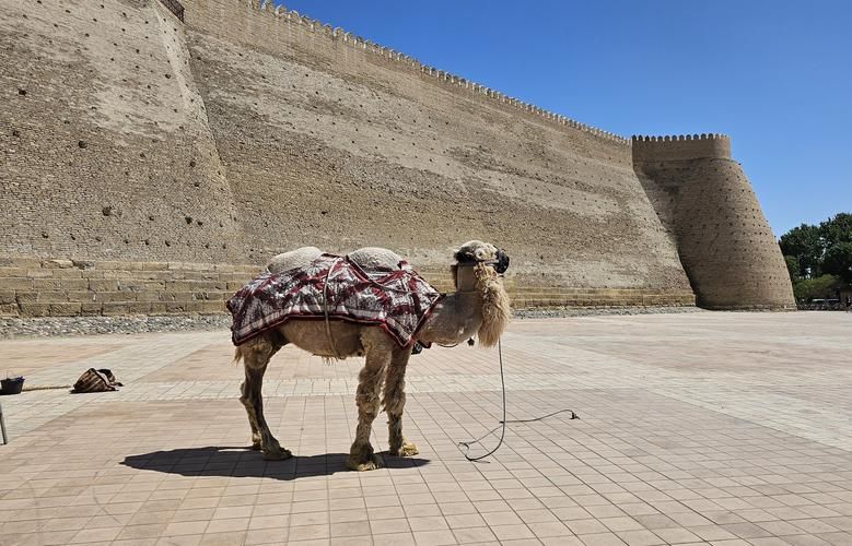 Быстро, ярко, по-восточному