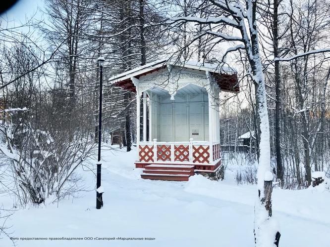 Сказочное Новогодье в Великом Новгороде и Старой Руссе