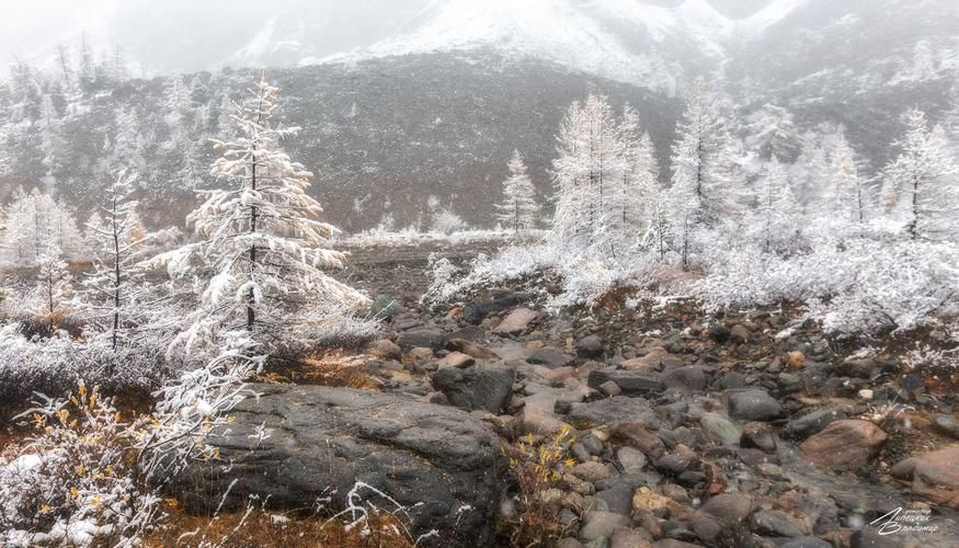 Рождественские чудеса Адыгеи